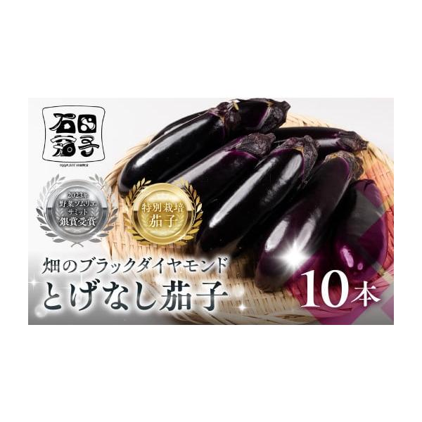 容量●とげなし茄子本数：10本消費期限●涼しい場所に保管しお早めにお召がりください。発送期日お届時期：2025年11月〜2026年7月頃まで順次出荷いたします※お届け期間は生育状況により多少の変動があります。※成育の状況によりお届けまでお時...