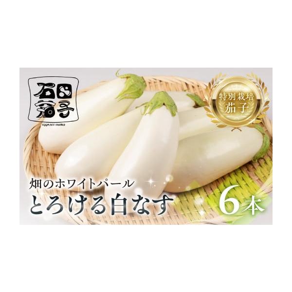 容量●白茄子 6本消費期限●涼しい場所に保管しお早めにお召がりください。発送期日お届時期：2025年11月〜2026年7月頃まで順次出荷いたします※お届け期間は生育状況により多少の変動があります。※成育の状況によりお届けまでお時間をいただく...