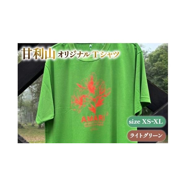 ふるさと納税 服 男 山梨県 韮崎市 甘利山オリジナルTシャツ (ライト