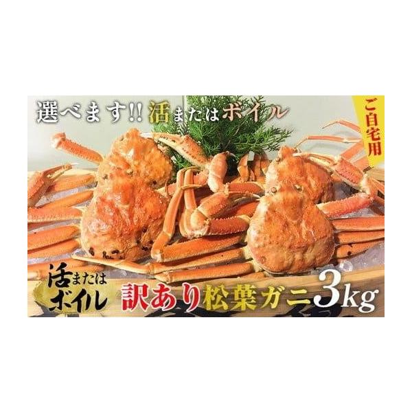 ふるさと納税】【木曜・金曜到着限定】ボイル松葉ガニ（600g