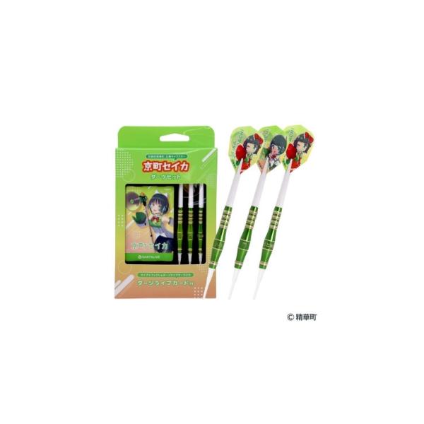 京町セイカダーツセット ふるさと納税 雑貨・日用品 京都府 精華町 京町セイカ ダーツセット