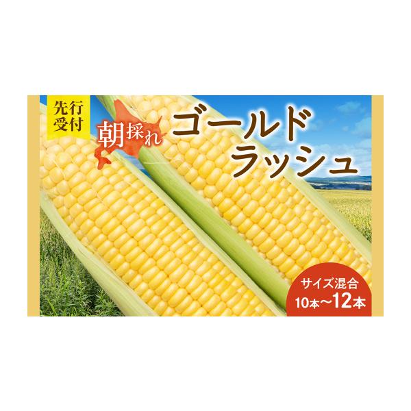 容量ゴールドラッシュ サイズ混合10〜12本消費期限お早めにお召し上がりください。発送期日2026年8月頃より順次発送いたします。※天候等により収穫時期が変動するため、事前の連絡はできかねます。※発送当日にメールにてご連絡いたします。配送冷...