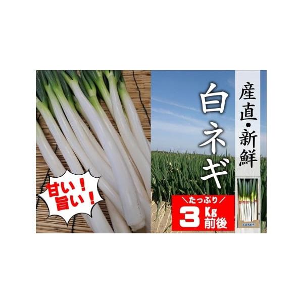 容量白ネギ10束（1束あたり2~3本程度）　3kg前後※収穫時期により、白ネギ1本の重さが異なります。重さは目安ですので、あらかじめご了承ください。消費期限冷蔵保存で15~20日※鮮度の良い内にお召し上がりください。※冷蔵庫、または日の当た...