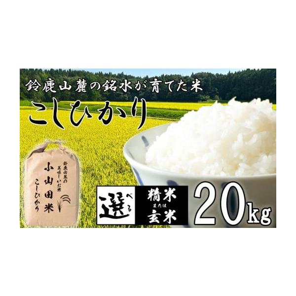 令和7年　こしひかり　こしいぶき　白米 20 キロセット echigo-inahoya_ibuki20k