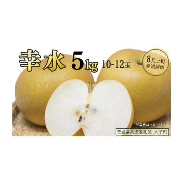 容量約10kg (20〜24玉)※サイズや入数はご指定いただけません消費期限発送から４日間発送期日2026年8月上旬頃より収穫後、発送開始。入金確認後、お申込み順に順次発送予定。※生育状況により、前後する場合がございます。※クール便対象　配...