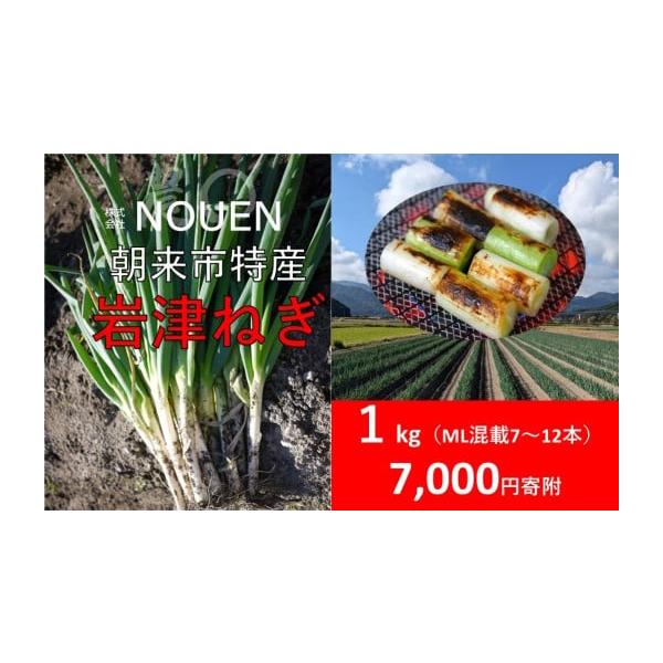 容量岩津ねぎ1kg（太さにより7〜12本）　消費期限■賞味期限:出荷日から7日程度発送期日入金確認後、令和7年12月上旬から2月上旬にかけて順次発送※恐れ入りますが、発送期日のお問い合わせには対応いたしかねます。※配送日の指定、北海道・沖縄...