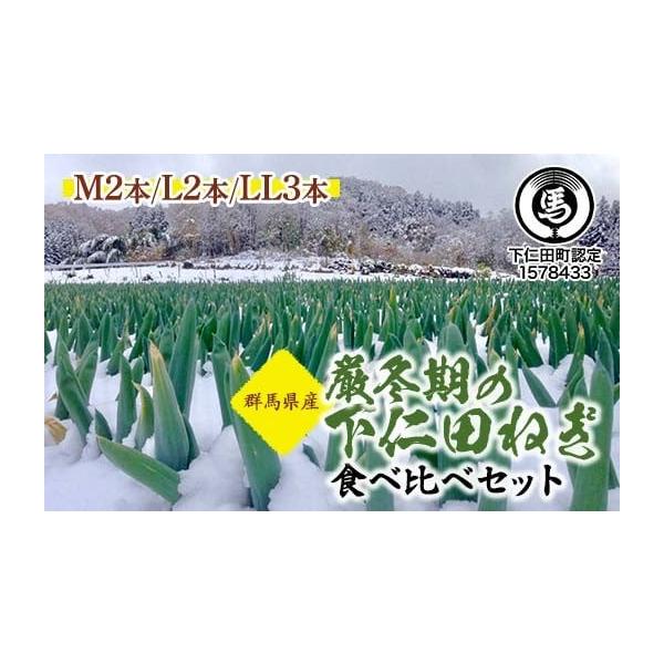容量下仁田ねぎ（M2本・L2本・LL3本）消費期限製造・加工後　14日以内発送期日2026年1月上旬〜下旬頃配送常温 時間指定 別送申込期日2025年8月1日〜2026年1月5日までオンライン決済以外の支払方法を選択された場合は、1月5日ま...