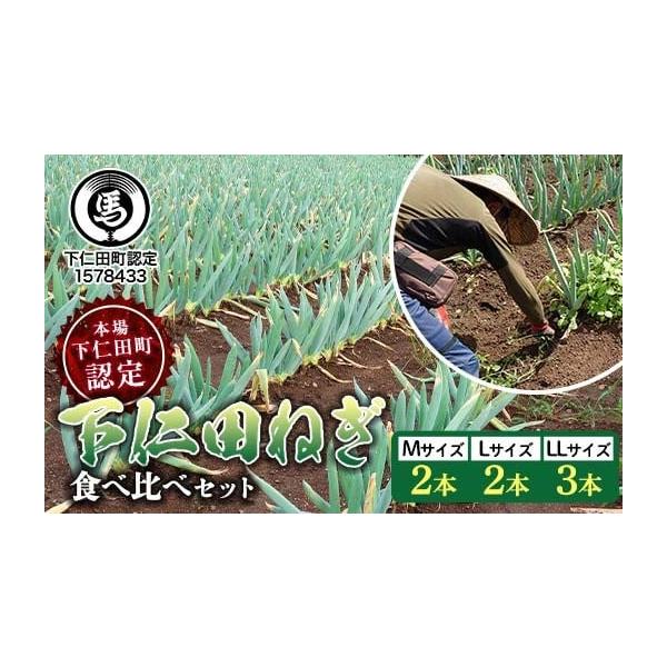 容量下仁田ねぎ（M2本・L2本・LL3本）発送期日2025年12月1日〜2026年1月14日配送常温 時間指定 別送申込期日2025年8月1日〜12月31日までオンライン決済以外の支払方法を選択された場合は、12月31日までにお支払い手続き...