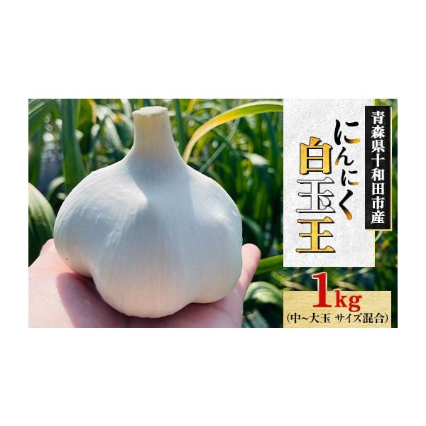 容量■お礼品の内容について・青森にんにく白玉王(中〜大玉 サイズ混合)[1kg]原産地:青森県十和田市■原材料・成分にんにく■注意事項／その他※産地直送のため、一部土や根がついている場合があります。※紙袋に入れて野菜室で冷蔵保存や、皮をむい...