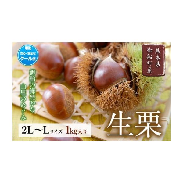 容量生栗 約1kg／2L-Lサイズ消費期限到着後はお早めにお召し上がりください。発送期日9上旬-9下旬頃出荷配送冷蔵 時間指定 別送申込期日8月下旬頃まで申込条件何度も申し込み可、オンライン決済限定
