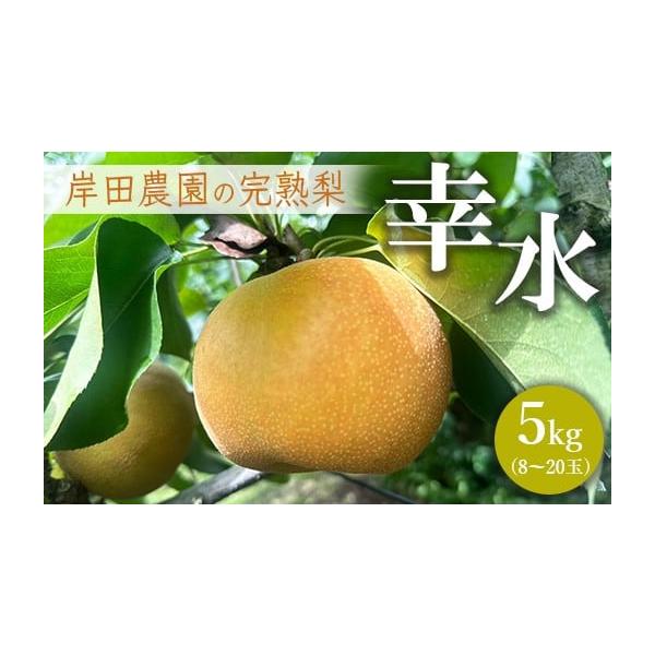 容量5kg(8-20玉)発送期日2026年8月上旬〜8月下旬頃に順次発送予定配送冷蔵 別送申込期日〜2026年8月20日事業者岸田農園申込条件何度も申し込み可