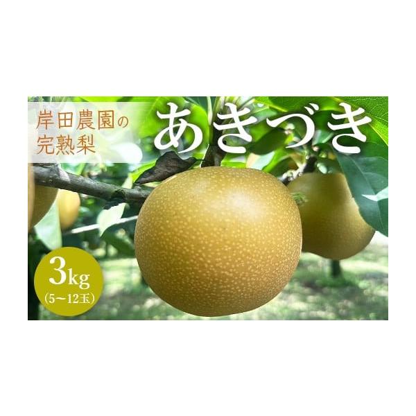 容量3kg(5-12玉)発送期日2026年9月中旬〜9月下旬頃に順次発送予定配送冷蔵 別送申込期日〜2026年9月15日事業者岸田農園申込条件何度も申し込み可