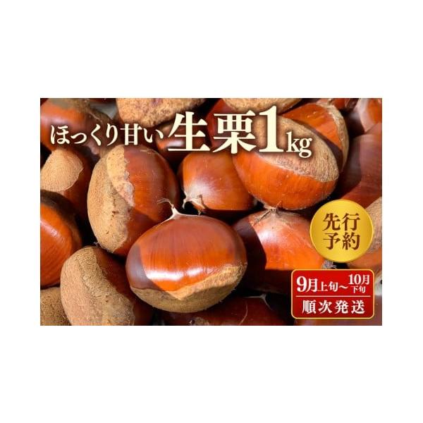 容量茨城県産 生栗1kg発送期日2026年9月上旬から順次発送予定配送冷蔵 時間指定 別送申込期日【期間限定 ／ 数量限定】※なくなり次第終了となります。事業者久家ぶどう園申込条件何度も申し込み可