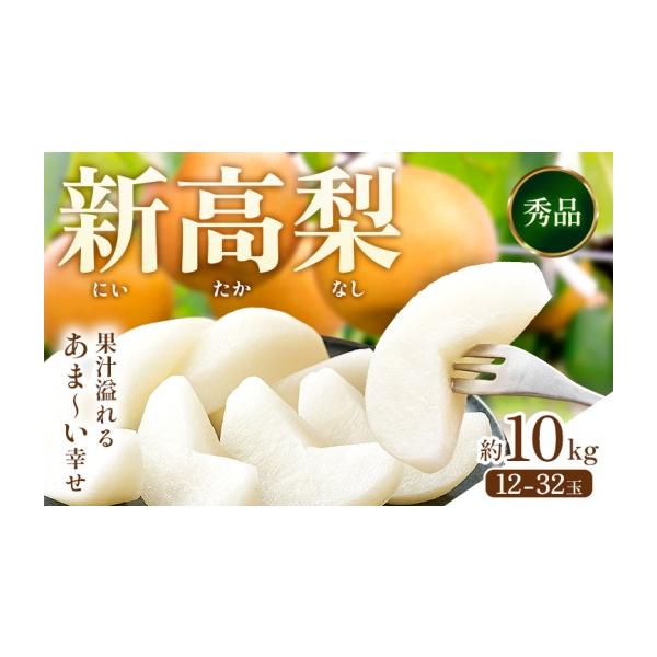 梨 熊本県 荒尾市 先行予約 新高梨 約10kg (12〜32玉) 日本フルーツ株式会社 《9月上旬-10月上旬頃出荷》熊本県 荒尾市 新高梨 梨 果物 フルーツ…