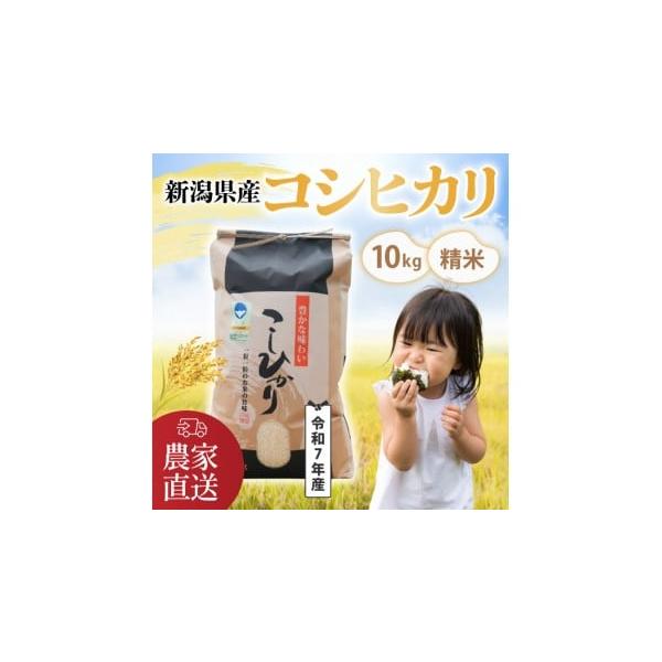 ふるさと納税 米 コシヒカリ 新潟県 燕市 令和7年産・コシヒカリ 南波