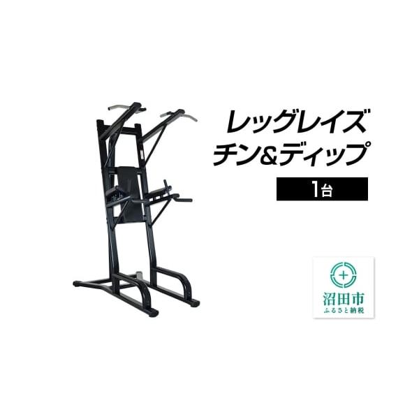 ふるさと納税 群馬県沼田市 BN591000 レッグレイズ・チン＆ディップ