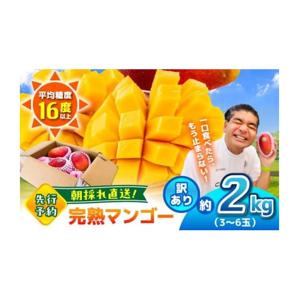 容量菊池マンゴー約2kg（3〜6玉）L〜4Lサイズ■保存方法直射日光と高温多湿を避けた状態で追熟（保存）してください。【原料原産地】熊本県合志市消費期限【賞味期限】配送日から7日間発送期日ご入金確認後、2026年6月上旬ごろから順次発送いた...