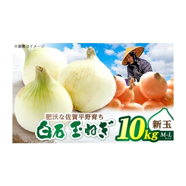 容量新玉ねぎ：10kg（M-Lサイズ）※サイズや個数の指定は出来かねますので予めご了承ください。【原料原産地】佐賀県白石町消費期限【賞味期限】到着後はお早めにお召し上がりください。発送期日3月-5月下旬頃配送常温 時間指定 別送事業者片渕農...