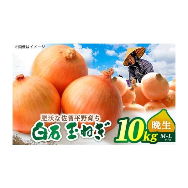 容量玉ねぎ：10kg（M-Lサイズ）※サイズや個数の指定は出来かねますので予めご了承ください。【原料原産地】佐賀県白石町消費期限【賞味期限】到着後はお早めにお召し上がりください。発送期日5月-7月下旬頃配送常温 時間指定 別送事業者片渕農園...