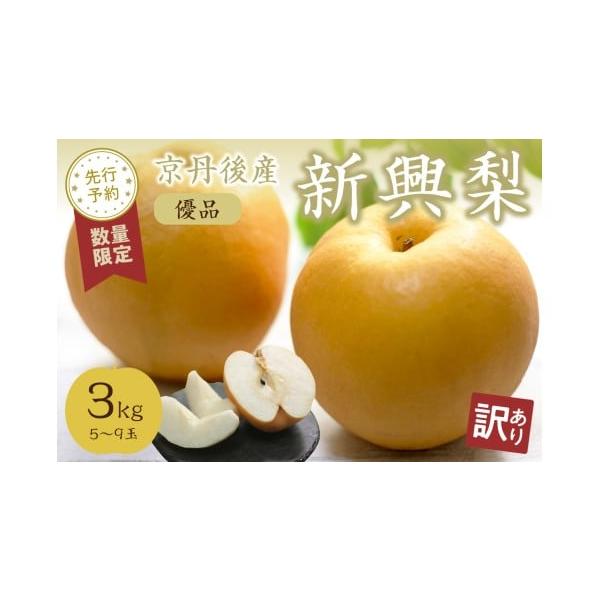 容量3kg（5〜9玉）消費期限【賞味期限】出荷日から20日間【保存方法】冷暗所にて常温保存発送期日【配送可能期間】2026年10月上旬〜11月下旬配送可能時期より1ヶ月以内に発送予定配送常温 時間指定 別送申込期日期間限定（2025年11月...