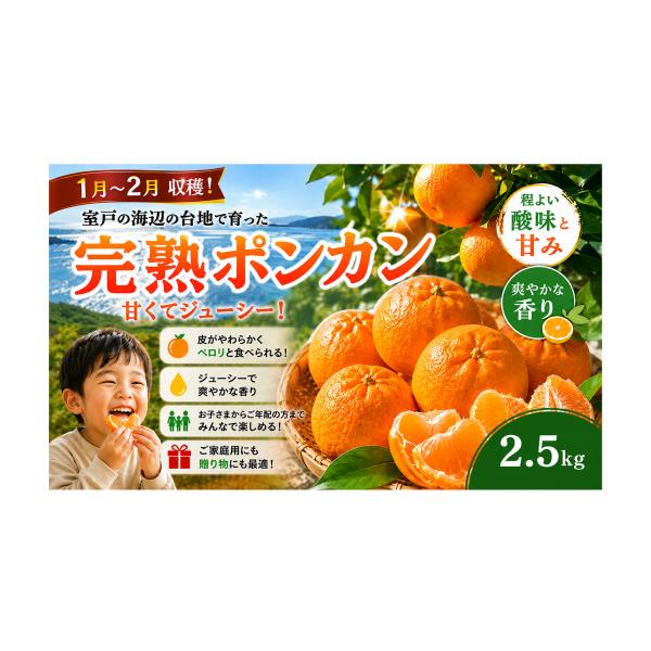 ふるさと納税 みかん・柑橘類 高知県 室戸市 先行予約 越年完熟室戸