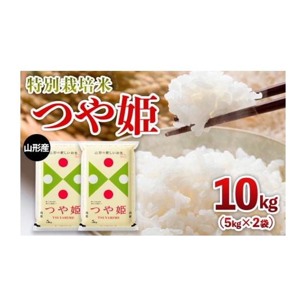 R6年度産 つや姫 玄米 10kg 山形 ふるさと納税 米 つや姫 山形県 山形市 限定数 令和6年産 山形産