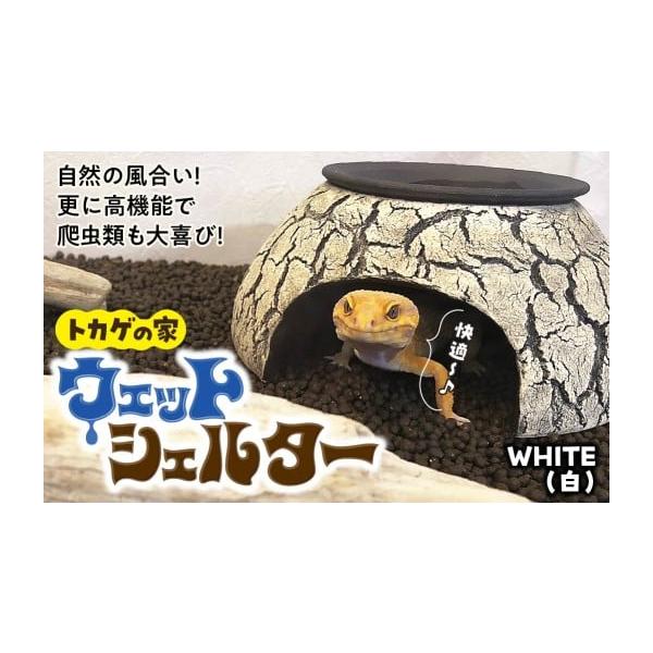 ふるさと納税 雑貨・日用品 インテリア 埼玉県 北本市 トカゲの家