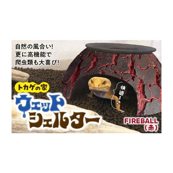 furusatochoice_6700668