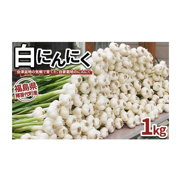 容量白にんにく 1kg発送期日2025年9月上旬頃より順次発送配送常温 別送申込期日通年事業者宇川ブルーベリー園申込条件何度も申し込み可