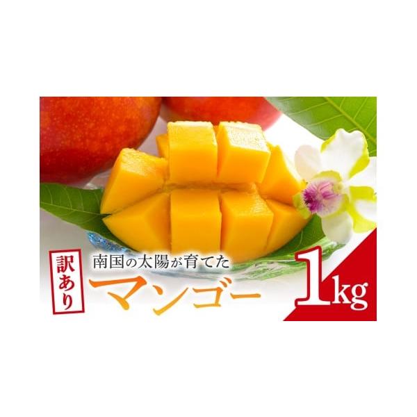 容量マンゴー　約1kg消費期限発送から7日発送期日入金確認後、6月中旬から7月下旬まで順次発送予定となります。配送冷蔵 時間指定 別送申込期日通年事業者サンクスラボ株式会社申込条件何度も申し込み可