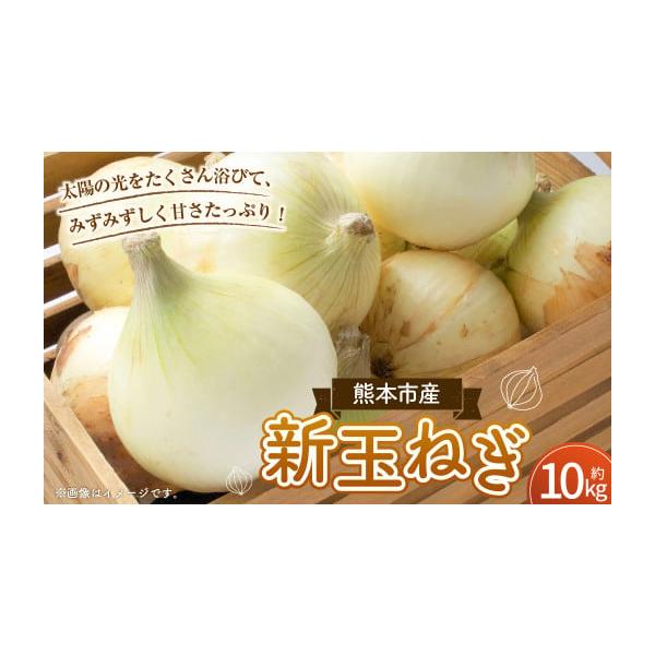 容量約10kg消費期限【賞味期限】発送日から10日発送期日寄附確認後、2026年3月下旬〜4月下旬に発送予定配送常温 時間指定 別送申込期日2026年3月31日まで寄附申込受付事業者株式会社GGYパッケージ申込条件何度も申し込み可