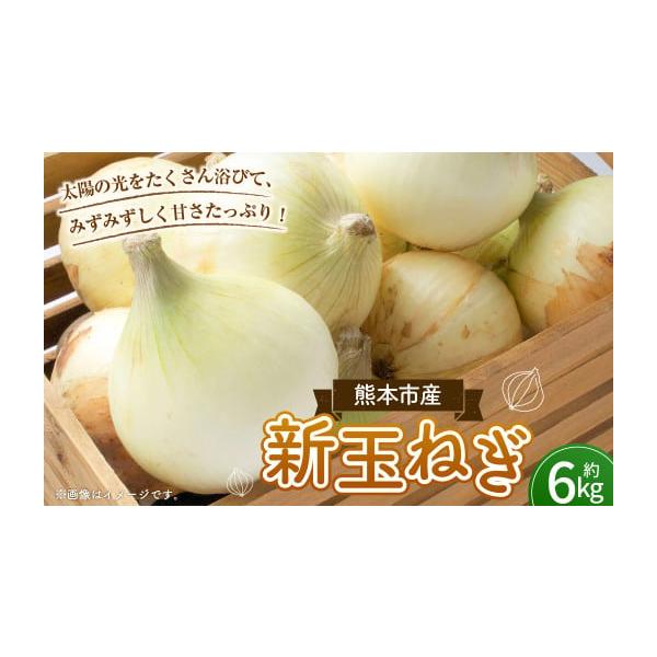 容量約6kg消費期限【賞味期限】発送日から10日発送期日寄附確認後、2026年3月下旬〜4月下旬に発送予定配送常温 時間指定 別送申込期日2026年3月31日まで寄附申込受付事業者株式会社GGYパッケージ申込条件何度も申し込み可