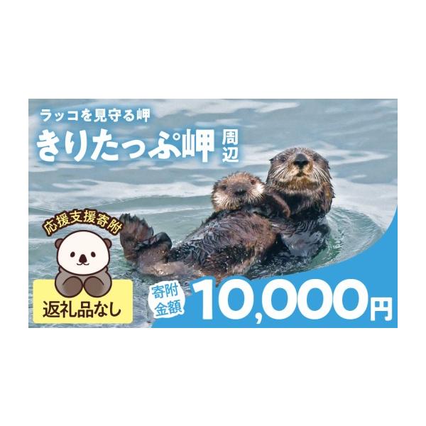 ふるさと納税 自治体にお任せ 北海道 浜中町 ラッコを見守る岬