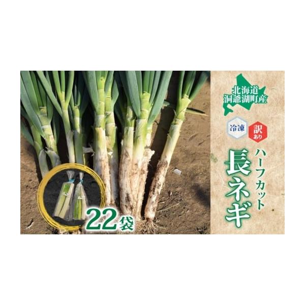 容量役に立ちます　冷凍カット野菜　長ねぎ11本分(1／2本×22袋相当)▼返礼品の地場産品基準[地場産品類型1]区域内の農場における長ねぎの栽培消費期限冷凍365日発送期日配送冷凍 別送事業者洞爺湖地場産品協同組合（HY)申込条件何度も申し込み可