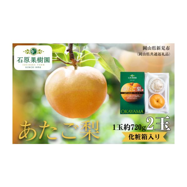容量あたご梨 2玉1玉約720g化粧箱岡山県内産（5条8号ハ）消費期限賞味期間：出荷日より常温7日（冷暗所で保管してください）発送期日2026年11月中旬〜12月中旬頃に順次発送いたします。（出荷目安：11月15日〜12月20日）※天候によ...