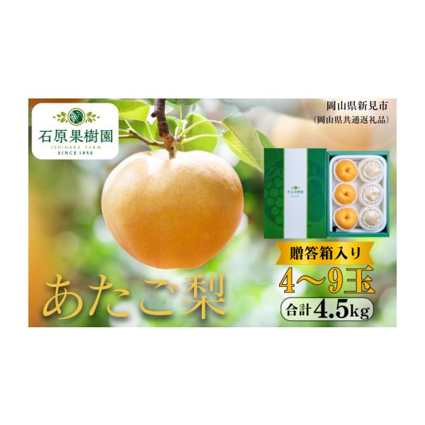 容量あたご梨 4〜9玉合計約4.5kg贈答箱岡山県内産（5条8号ハ）消費期限賞味期間：出荷日より常温7日（冷暗所で保管してください）発送期日2026年11月中旬〜12月中旬頃に順次発送いたします。（出荷目安：11月15日〜12月20日）※天...