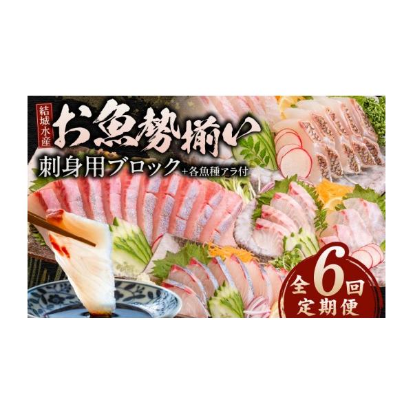 ふるさと納税 魚貝類 鯛 宮崎県 延岡市 6ヶ月定期便 冷蔵 お届け 結城水産 の お魚勢ぞろい お刺身用ブロック カンパチ 鯛 シマアジ イサキ マダイ 金寿カン…