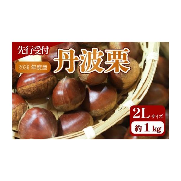 容量2Lサイズ・1kg※出荷の際には十分な検品を行なっておりますが、まれに虫食いが含まれる可能性がございます。予めご了承ください。消費期限生鮮品のため、お早めにお召し上がりください。■ 鬼皮つきの場合冷蔵庫で約1ヶ月程度カビ防止のため、水気...