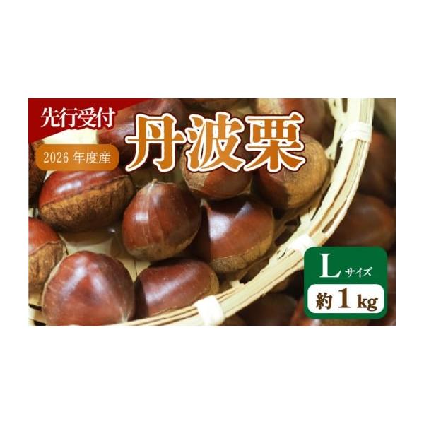 容量Lサイズ・1kg※出荷の際には十分な検品を行なっておりますが、まれに虫食いが含まれる可能性がございます。予めご了承ください。消費期限生鮮品のため、お早めにお召し上がりください。■ 鬼皮つきの場合冷蔵庫で約1ヶ月程度カビ防止のため、水気を...