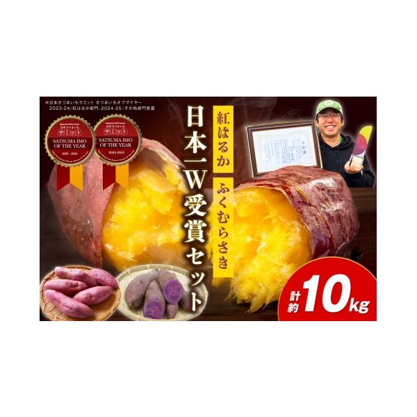 ふるさと納税 野菜類 サツマイモ 京都府 京丹後市 先行予約 日本一