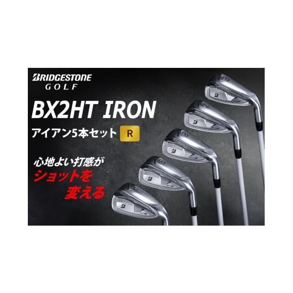 ふるさと納税 ゴルフグッズ クラブ 広島県 大竹市 BX2HT IRONアイアン5