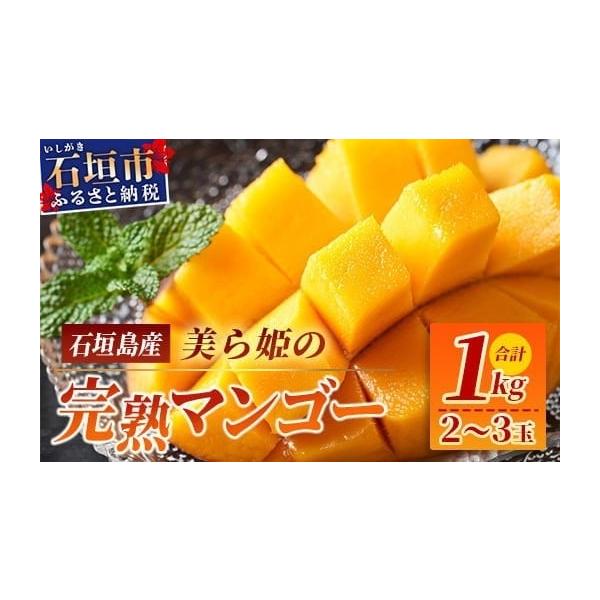 容量完熟マンゴー１kg・2〜3個消費期限生ものですので早めにお召し上がりください。発送期日７月中旬より順次発送、在庫なくなり次第受付終了配送冷蔵 別送事業者知花農園申込条件何度も申し込み可