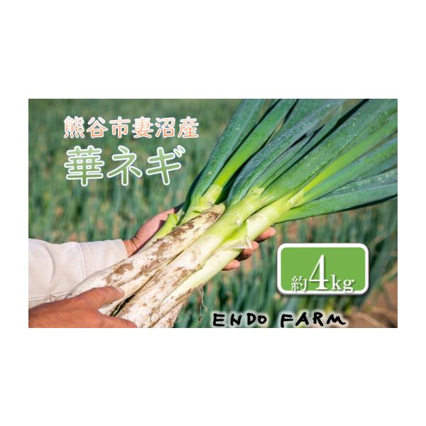 容量約4kg消費期限出荷日から約6日間発送期日入金確認後2週間程度で発送。★期間限定商品です（発送可能時期：11月〜4月）配送別送申込期日4月末まで申込受付をしています事業者遠藤ファーム株式会社申込条件何度も申し込み可