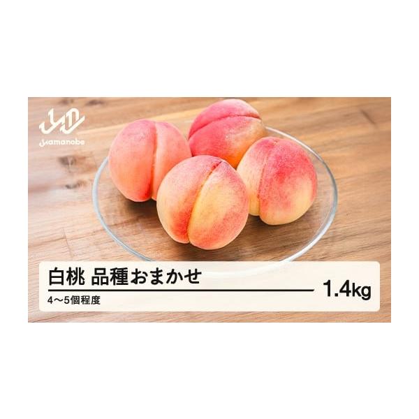 容量内容量：もも 白桃 約1.4kg(4〜5玉入り)×1箱品　種：おまかせ(暁星、尚美、あかつき、白鳳、なつっこ、まどか、いけだ、きらら姫、紅博桃、ももか、なつおとめ、陽夏妃、川中島白桃、ゆうぞら、あぶくま、伊達白桃、幸茜、紅錦香（くにか）...