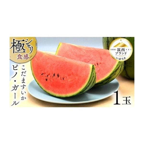 容量こだますいか「 ピノ・ガール」 1玉1玉目安：2kg消費期限食べごろの時期に配送しておりますので、早めにお召し上がりください。発送期日5月中旬〜6月下旬(作柄等により変更有)配送常温 別送申込期日2026年6月20日まで事業者JA北つく...