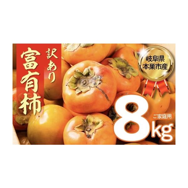 ふるさと納税 果物類 柿 岐阜県 本巣市 令和8年産／2026年11月〜発送