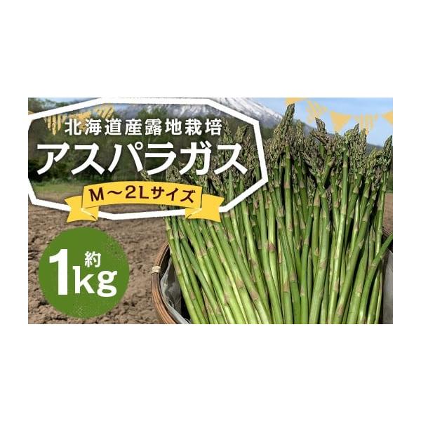 容量約1kg※大きさ・本数はお選びいただけません。消費期限発送日から冷蔵で7日発送期日2026年5月下旬〜6月上旬迄発送予定配送冷蔵 時間指定 別送申込期日2026年6月5日まで寄附受付事業者山田農場株式会社申込条件何度も申し込み可