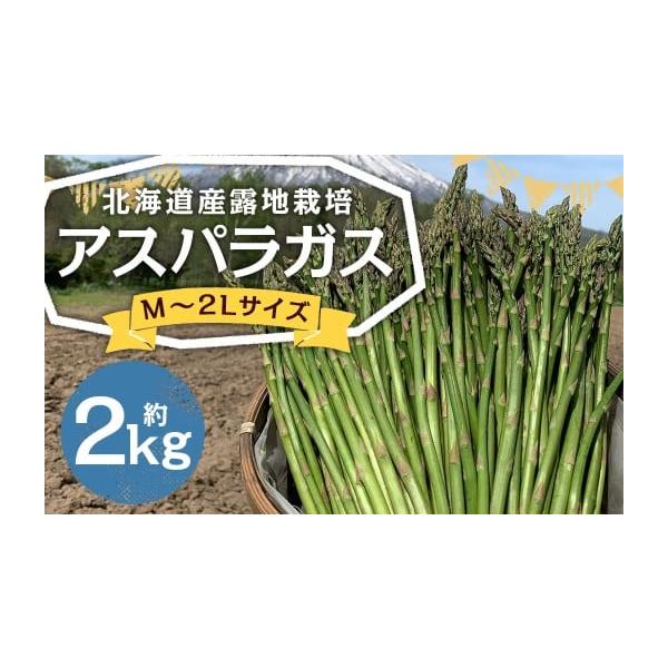 容量約2kg※大きさ・本数はお選びいただけません。消費期限発送日から冷蔵で7日発送期日2026年5月下旬〜6月上旬迄発送予定配送冷蔵 時間指定 別送申込期日2026年6月5日まで寄附受付事業者山田農場株式会社申込条件何度も申し込み可