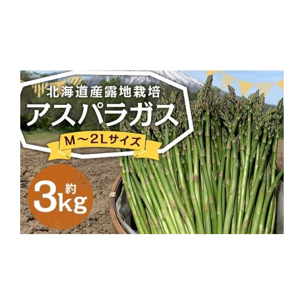 容量約3kg※大きさ・本数はお選びいただけません。消費期限発送日から冷蔵で7日発送期日2026年5月下旬〜6月上旬迄発送予定配送冷蔵 時間指定 別送申込期日2026年6月5日まで寄附受付事業者山田農場株式会社申込条件何度も申し込み可