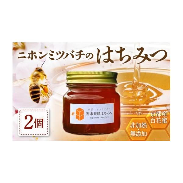 ふるさと納税 加工品等 はちみつ 京都府 綾部市 ニホンミツバチの